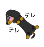 みんな大好きダックス！スタンプ（個別スタンプ：38）