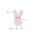 めんぺら毒舌うさたん（個別スタンプ：5）