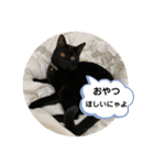 ☆きらくんスタンプ☆（個別スタンプ：13）