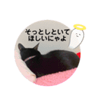 ☆きらくんスタンプ☆（個別スタンプ：21）