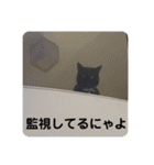 ☆きらくんスタンプ☆（個別スタンプ：27）