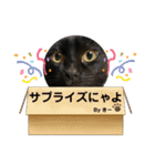 ☆きらくんスタンプ☆（個別スタンプ：37）