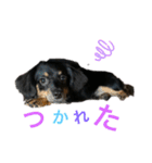 じんちゃんの、スタンプ（個別スタンプ：19）