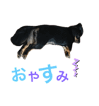 じんちゃんの、スタンプ（個別スタンプ：22）
