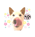 諭吉10（個別スタンプ：9）
