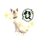 諭吉10（個別スタンプ：12）