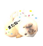 諭吉10（個別スタンプ：16）