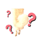 諭吉10（個別スタンプ：17）
