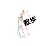諭吉10（個別スタンプ：18）