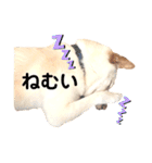 諭吉10（個別スタンプ：21）
