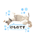 諭吉10（個別スタンプ：31）