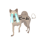 諭吉10（個別スタンプ：32）