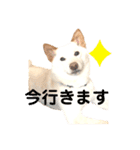 諭吉10（個別スタンプ：33）