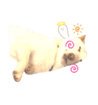 諭吉10（個別スタンプ：39）