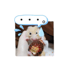 癒しのみーたんすたんぷ！ハムスター（個別スタンプ：13）