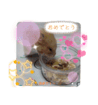 癒しのみーたんすたんぷ！ハムスター（個別スタンプ：16）