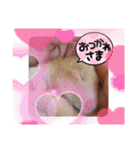 癒しのみーたんすたんぷ！ハムスター（個別スタンプ：20）