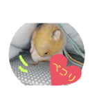 癒しのみーたんすたんぷ！ハムスター（個別スタンプ：23）