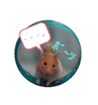 癒しのみーたんすたんぷ！ハムスター（個別スタンプ：24）