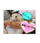 癒しのみーたんすたんぷ！ハムスター（個別スタンプ：25）