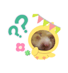 癒しのみーたんすたんぷ！ハムスター（個別スタンプ：26）