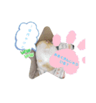 癒しのみーたんすたんぷ！ハムスター（個別スタンプ：28）