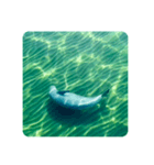 Wild Finless porpoise スナメリ by DRONE（個別スタンプ：13）