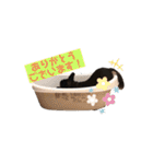 れおチワちゃん（個別スタンプ：13）