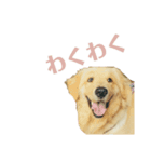 ゴールデンレトリバーのヴィッキー⑤（個別スタンプ：7）