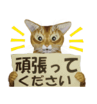 毎日使える敬語スタンプ 猫のメル（個別スタンプ：18）