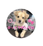 クウタ・スタンプ（個別スタンプ：3）