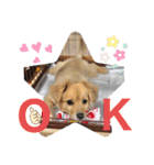 クウタ・スタンプ（個別スタンプ：4）