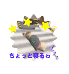 クウタ・スタンプ（個別スタンプ：7）