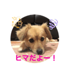 クウタ・スタンプ（個別スタンプ：11）