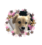 クウタ・スタンプ（個別スタンプ：12）