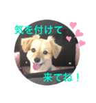 クウタ・スタンプ（個別スタンプ：14）