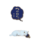 僕は春マン（個別スタンプ：6）
