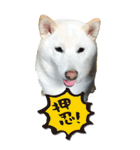 僕は春マン（個別スタンプ：7）