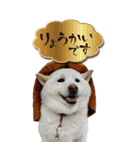 僕は春マン（個別スタンプ：13）