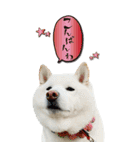 僕は春マン（個別スタンプ：15）