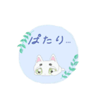 ねこちゃんかわいい〜（個別スタンプ：24）