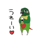 毎日使えるインコがいっぱい！（個別スタンプ：11）