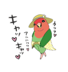 毎日使えるインコがいっぱい！（個別スタンプ：18）