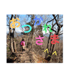 登山写真で作ったスタンプ（個別スタンプ：17）