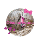 登山写真で作ったスタンプ（個別スタンプ：24）