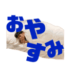 @arito728 2021（個別スタンプ：10）