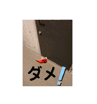旅する手羽先 改善版（個別スタンプ：3）