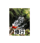 旅する手羽先 改善版（個別スタンプ：5）