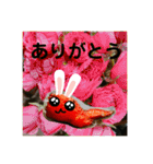旅する手羽先 改善版（個別スタンプ：9）