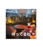 旅する手羽先 改善版（個別スタンプ：16）